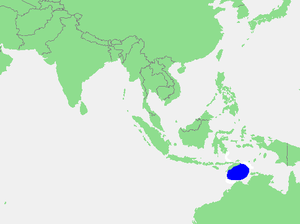 Locatie Timorzee.PNG
