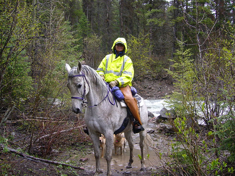 File:MSAR Training.jpg