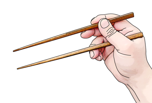 Chopsticks Wiki Thereaderwiki