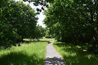 <span class="mw-page-title-main">Marylands Nature Reserve</span>