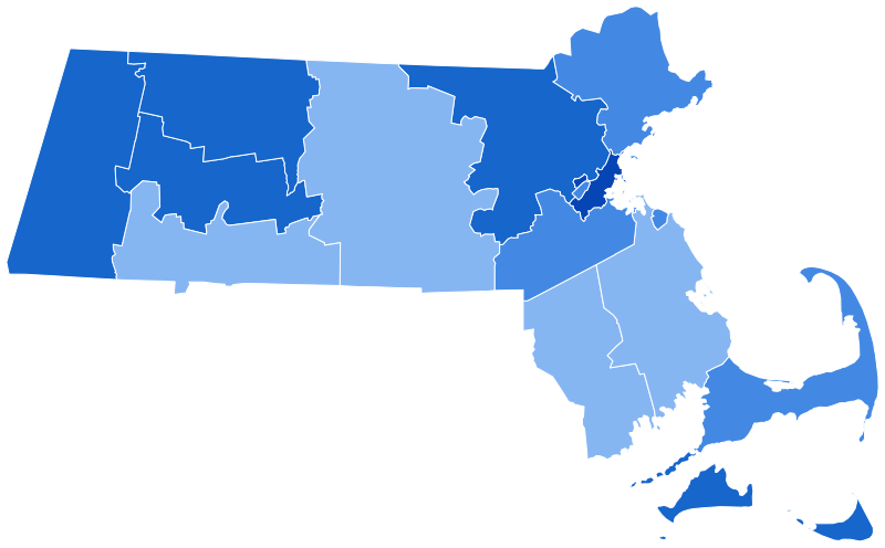 2020 United States presidential election - Wikipedia