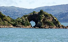 Rock arch and raised platform at the northern tip of Matiu / Somes Island Matiu - Somes Island - Flickr - 111 Emergency (14).jpg