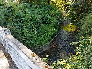 <span class="mw-page-title-main">McAleer Creek</span> River in Washington, United States