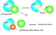 طريقة عمل دواء ايماتنيب