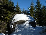 Čeština: Skála Pýchavka obrovská na Medvědí stezce, což je naučná stezka v okrese Prachatice v okrese Prachatice, Jihočeský kraj. English: Giant Puffball rock on the educational trail Medvědí stezka (Bear Trail), Prachatice District, South Bohemian Region, Czech Republic.