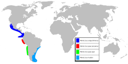 Merlucius sp mapa.svg