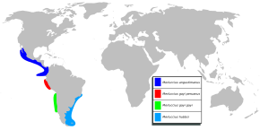 Descrierea imaginii Merluccius sp mapa.svg.