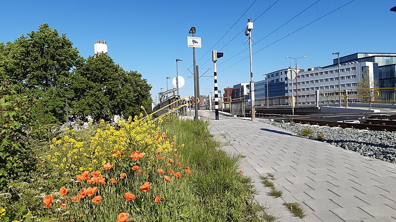 File:Merwestein lightrail halt Nieuwegein.jpg