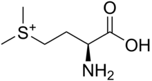 Methylmethionin.png