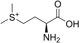 <i>S</i>-Methylmethionine Chemical compound