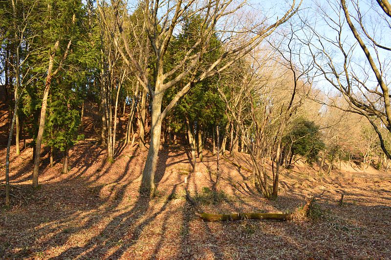 File:Mihakayama-kofun zenkei.JPG