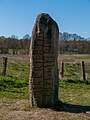 * Nomination: Monolith with runes at Viking Museum Haddeby --MB-one 09:20, 29 May 2024 (UTC) * Review The light comes from the wrong side. -- Spurzem 14:31, 29 May 2024 (UTC)
