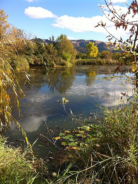 File:Mount Pisgah wetlands.JPG