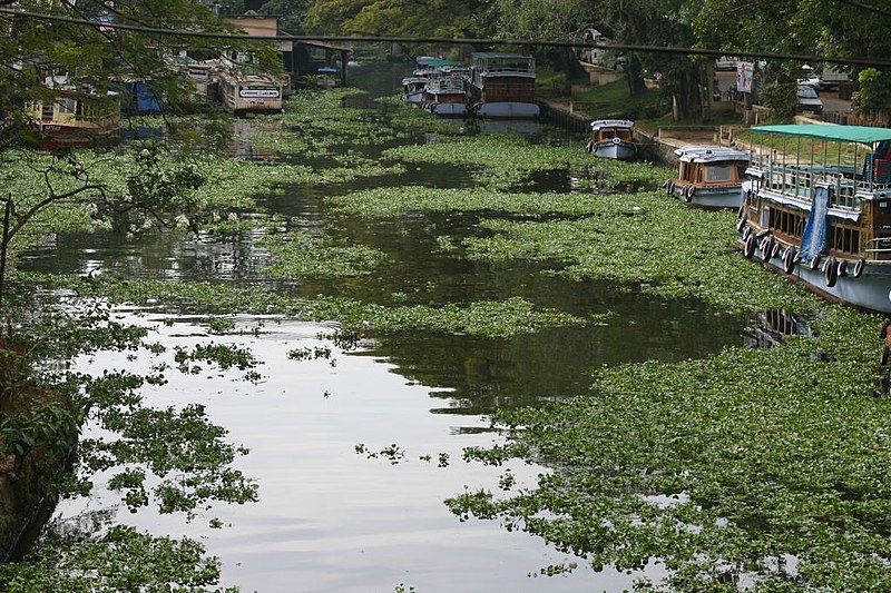 File:Mullakkal, Alappuzha, Kerala, India - panoramio - Robert Helvie.jpg