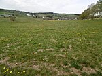 Naturschutzgebiet Springebachtal (Medebach)