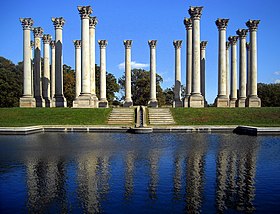 Illustrasjonsbilde fra US National Arboretum-artikkelen