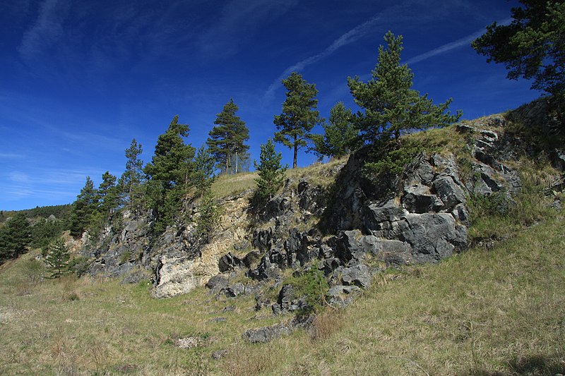 File:National nature reserve Vyšenské kopce in spring 2012 (7).JPG