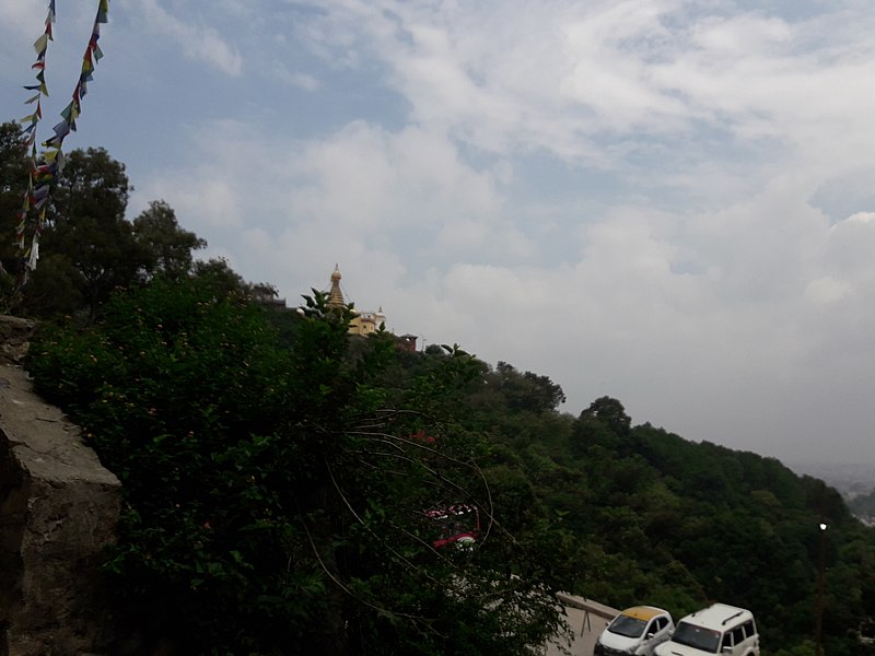 File:Nature 20190630 133525.jpg