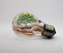 Hands holding a tree inside of a light bulb Nature in Bulb.jpg