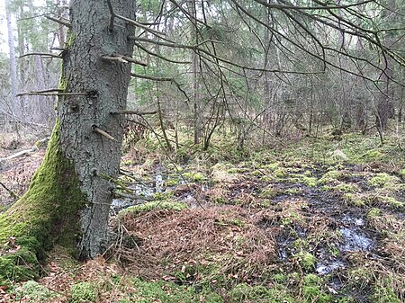 Naturschutzgebiet Winterried 03