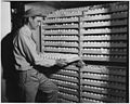 Newberry County, South Carolina. View of interior of one of the incubating compartments. This is a . . . - NARA - 522750.jpg