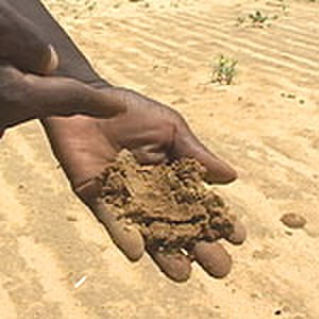 Tập_tin:Niger_Farm_sand_tv_16aug05.jpg