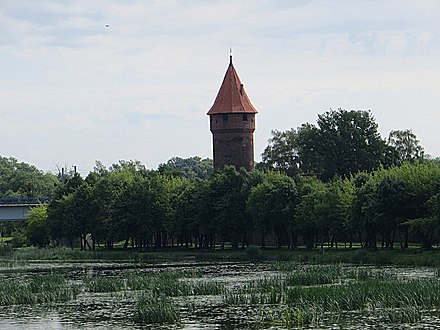 Nogat - panorama.jpg