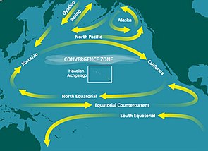North Pacific Subtropical Convergence Zone.jpg