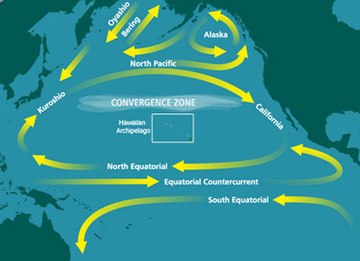 Fitxer:North_Pacific_Subtropical_Convergence_Zone.jpg