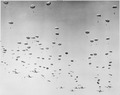 Korean War paratroopers, 1952