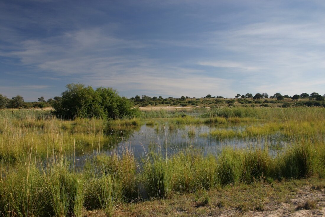 Okawango Wschodnie