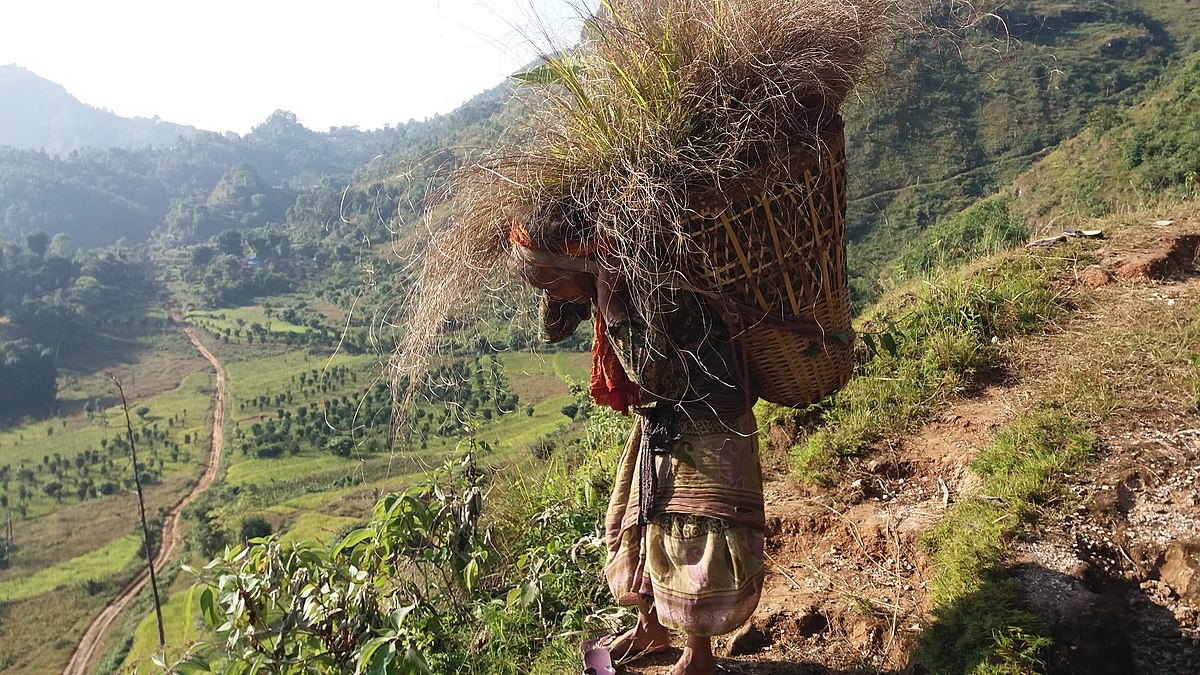 Nepali Little Girk Xxx Video - Women in Nepal - Wikipedia