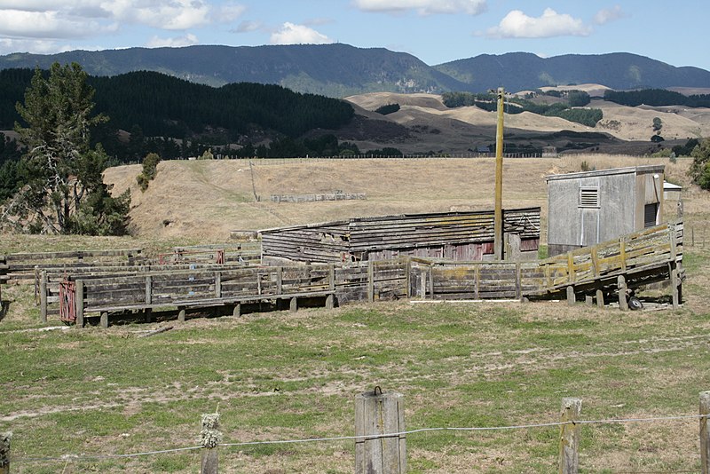 File:Old milking shed stilll standing after 30 years of disuse - panoramio.jpg