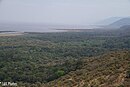 Overlooking Lake Manyara NP.jpg