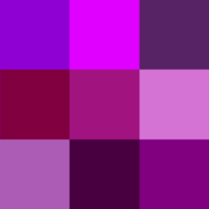 Púrpuras.png