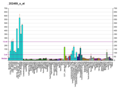 PBB GE CPSF6 202469 s в формате fs.png