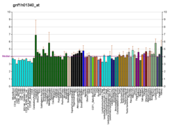 PBB GE OR1I1 gnf1h01340 at fs.png