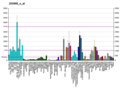 PBB GE PPIB 200968 s bei fs.png