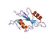 1luk: NMR Structure of the Itk SH2 domain, Pro287cis, Energy minimized average structure