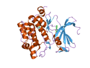 PDB 1yxv EBI.png