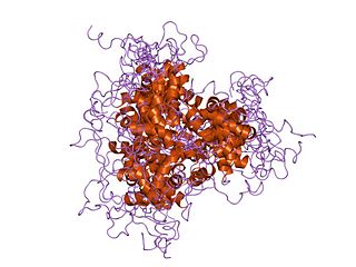 <span class="mw-page-title-main">FOXD3</span> Protein-coding gene in the species Homo sapiens