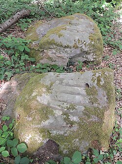 Image illustrative de l’article Polissoirs de la Forêt Noire