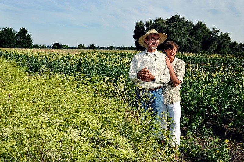 File:Pamela Ronald and Raoul Adamchak on the UC Davis certified organic farm. Photo credit Pico van Houtryve, picophotos.jpg