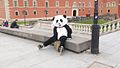 Panda przed Zamkiem Królewskim.jpg