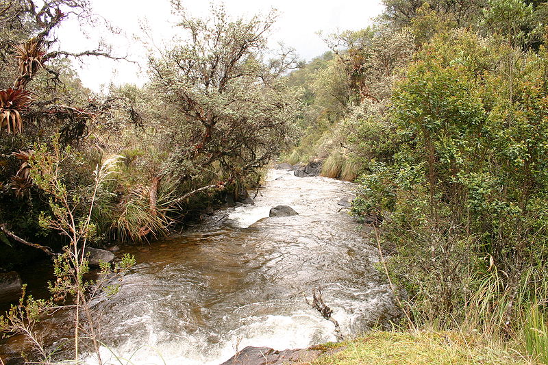 File:Paramo-laag.JPG