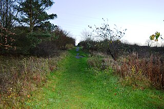 <span class="mw-page-title-main">Park Wood, Bedford</span>