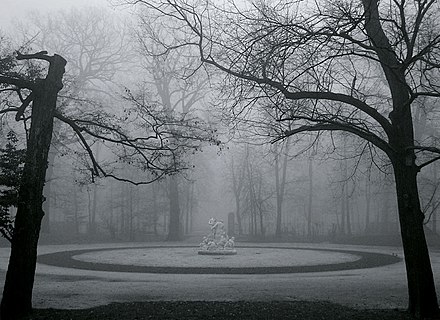 A beautiful scene in the Parco Ducale