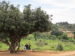 קיבוץ פרוד - מבט מנחל פרוד