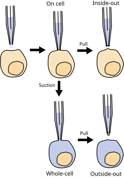 File:Patchmodes.svg