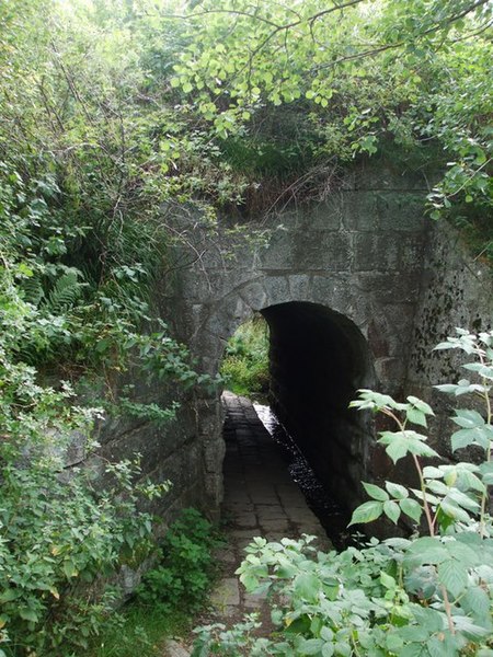 File:Pedestrian tunnel under Strathspey Railway - geograph.org.uk - 1495391.jpg